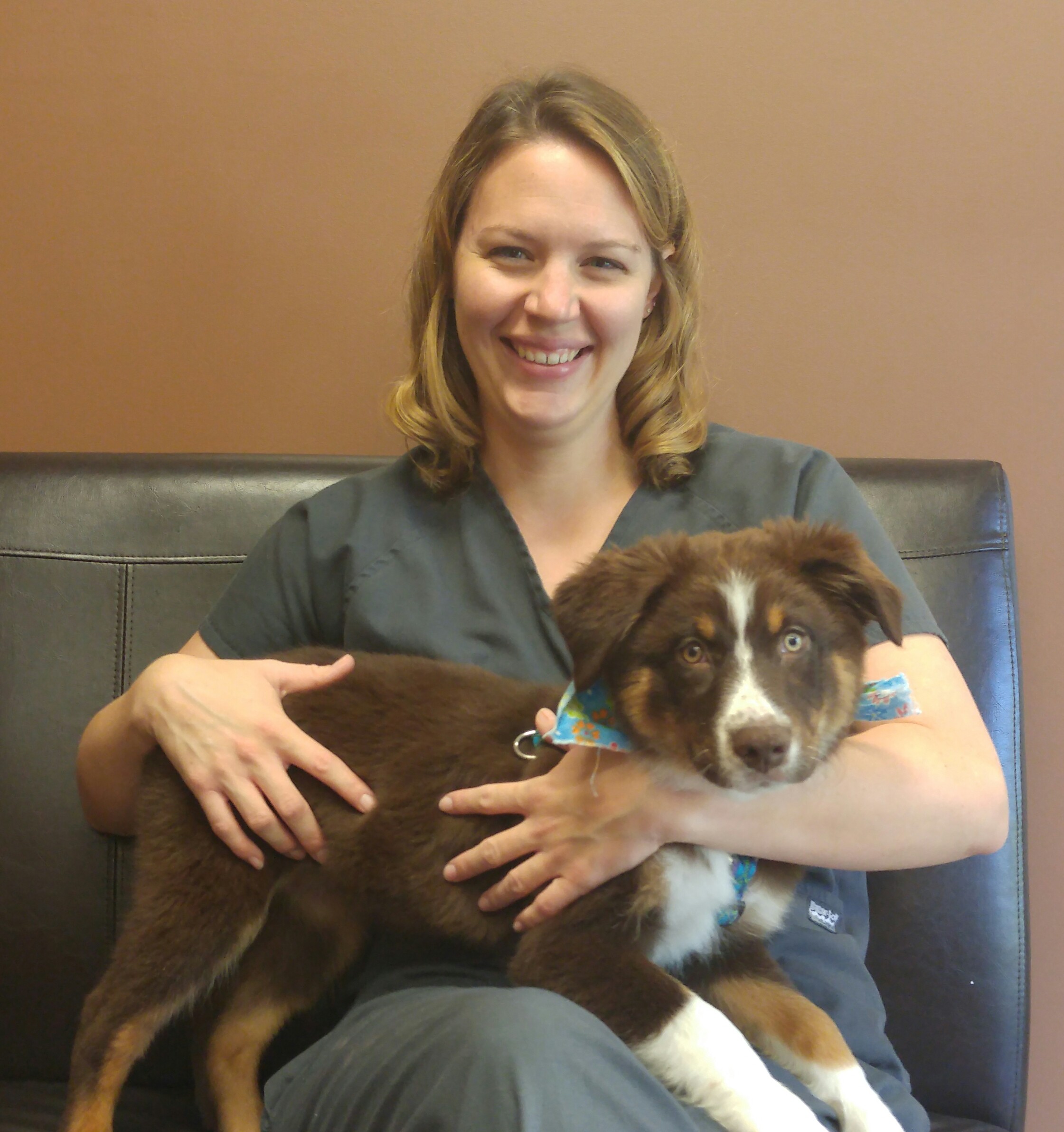 Creature Comforts Animal Hospital - Veterinarian in Mahomet, IL US :: Meet  Our Team